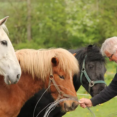 Skovlide Beautiful Couette-café *