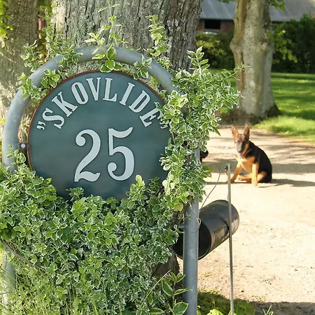 Couette-café Skovlide Beautiful *