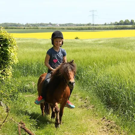 Skovlide Beautiful Edslev