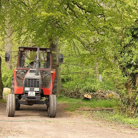 Skovlide Beautiful * Edslev